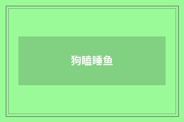 狗瞌睡鱼