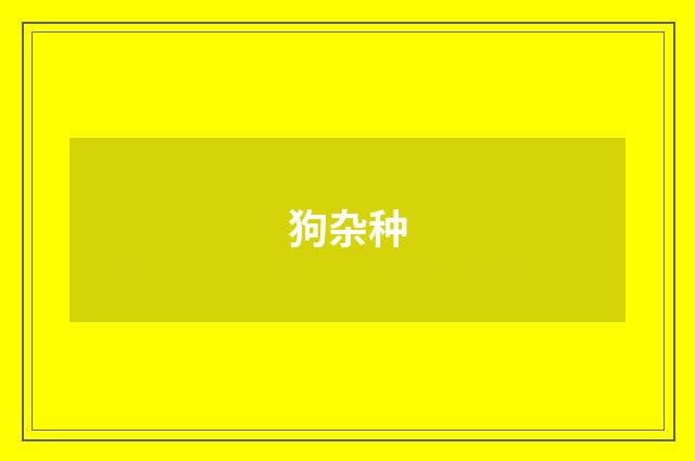 狗杂种