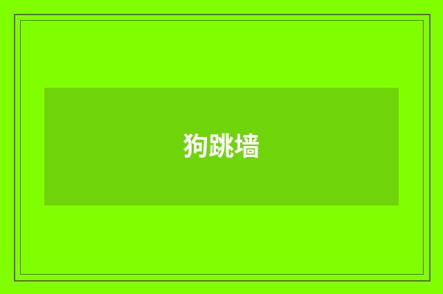 狗跳墙