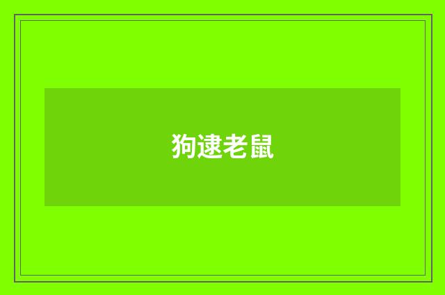狗逮老鼠