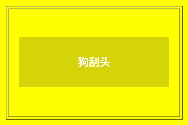 狗刮头