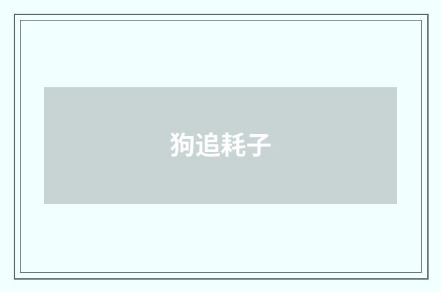 狗追耗子