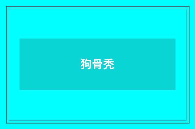 狗骨秃