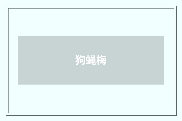 狗蝇梅
