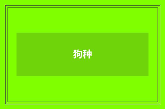 狗种