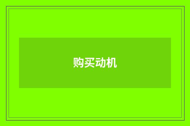 购买动机