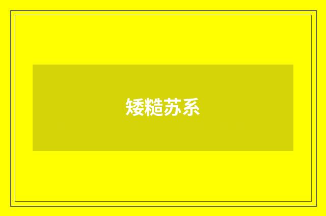 矮糙苏系