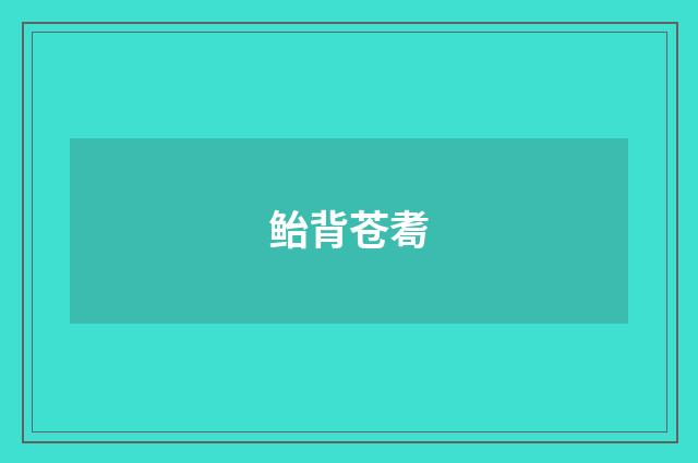 鲐背苍耈