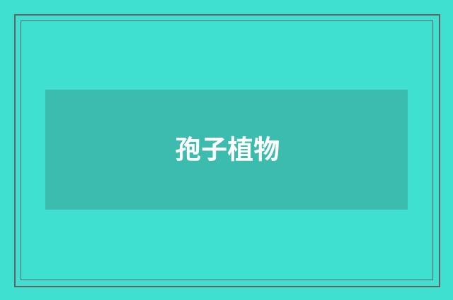 孢子植物