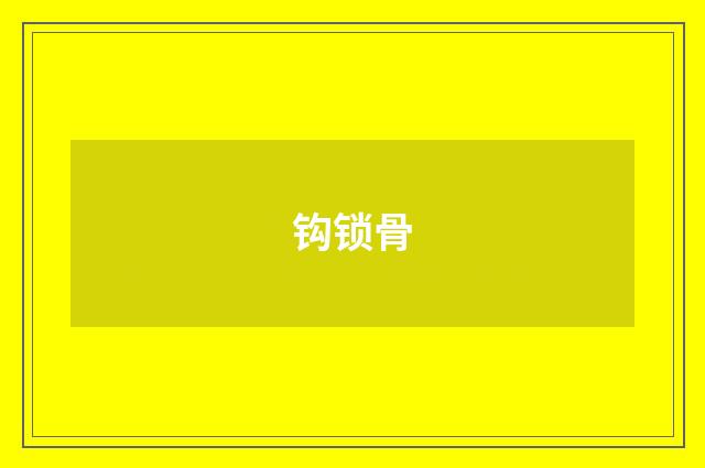 钩锁骨