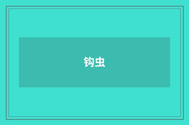 钩虫