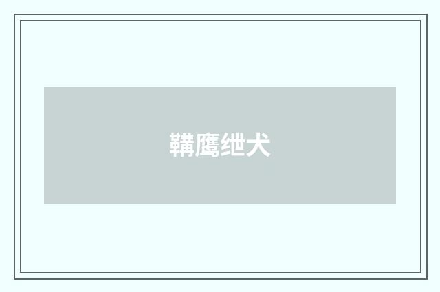 鞲鹰绁犬