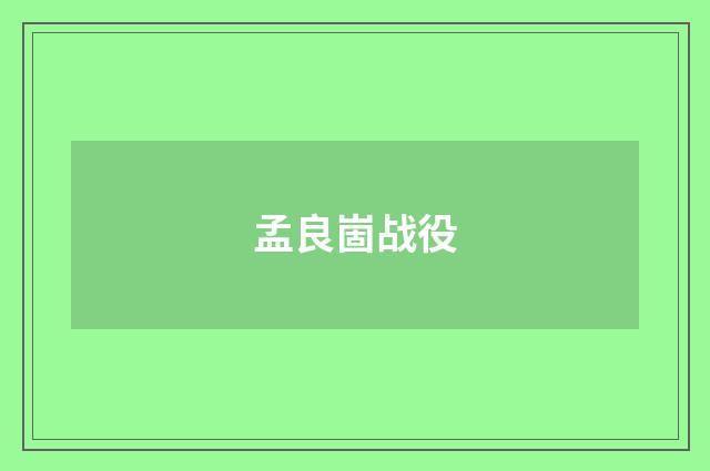 孟良崮战役