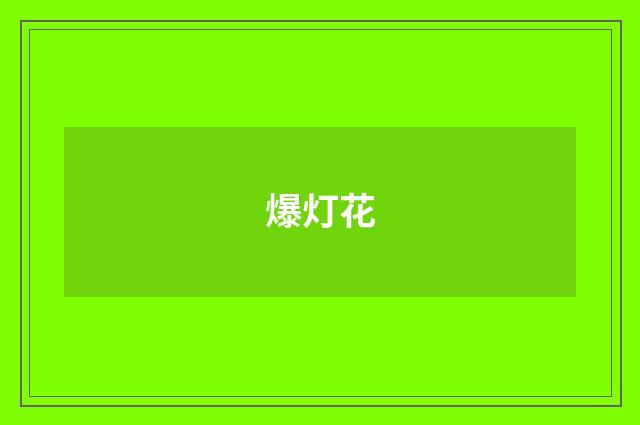 爆灯花