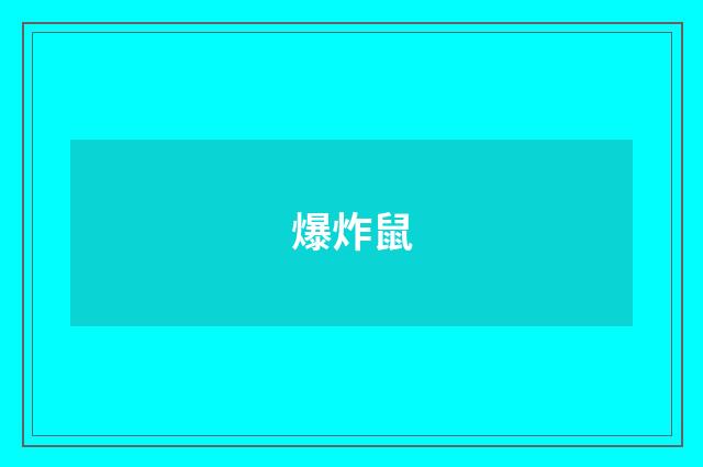 爆炸鼠