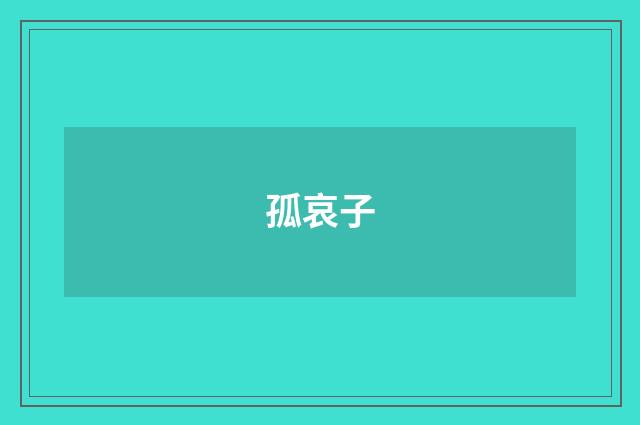 孤哀子