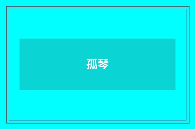 孤琴