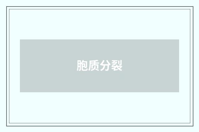 胞质分裂