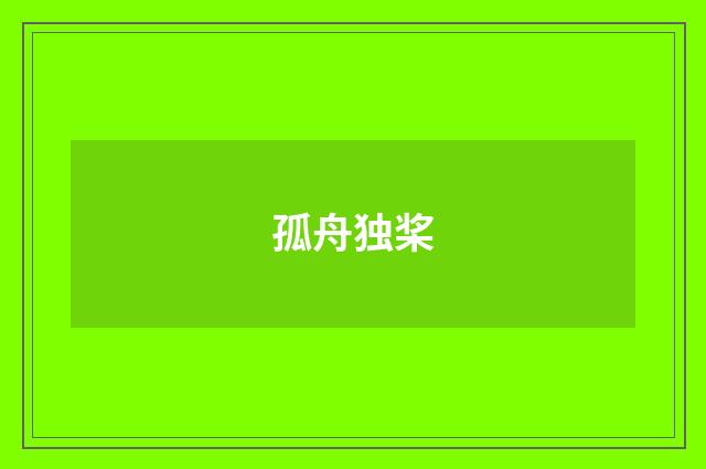 孤舟独桨