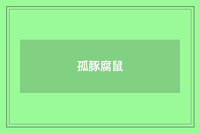 孤豚腐鼠
