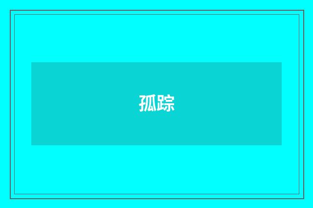 孤踪