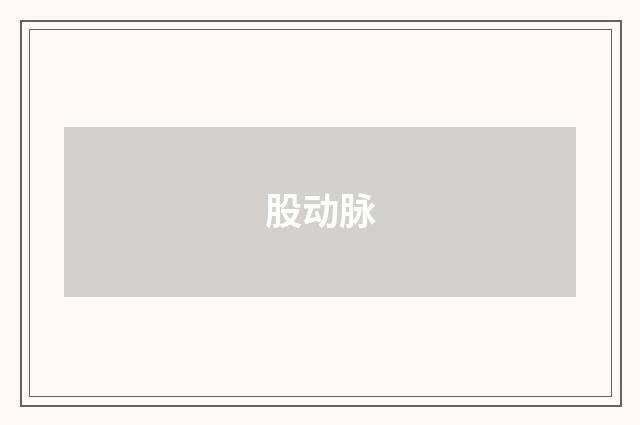 股动脉