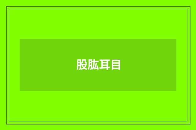 股肱耳目
