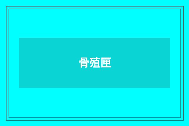 骨殖匣