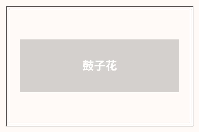 鼓子花