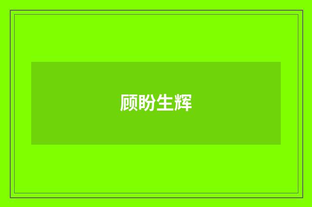 顾盼生辉