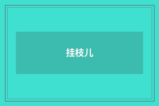 挂枝儿