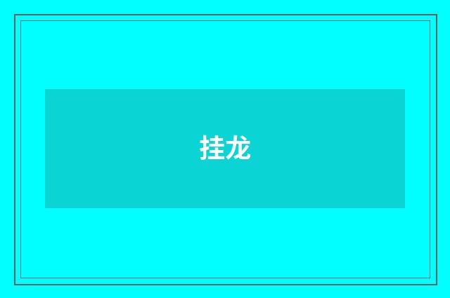 挂龙