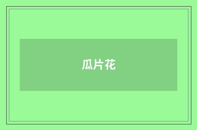 瓜片花