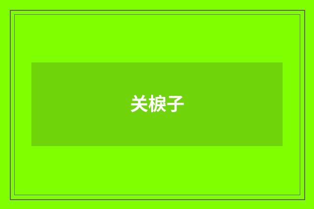 关棙子