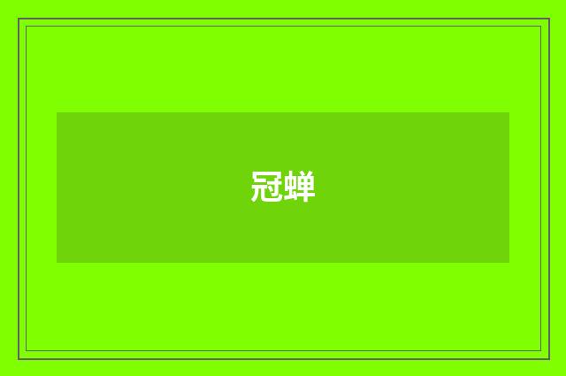 冠蝉