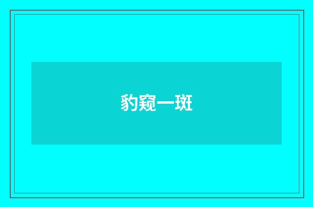 豹窥一斑