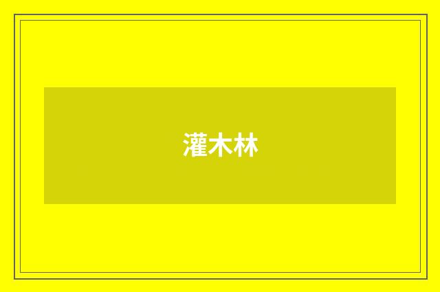 灌木林