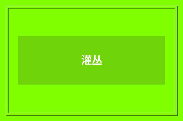 灌丛