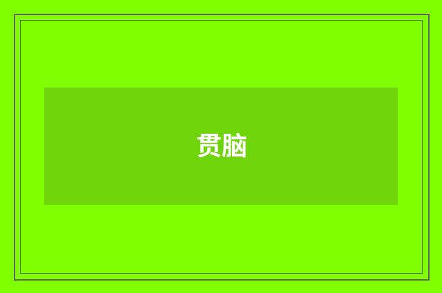 贯脑