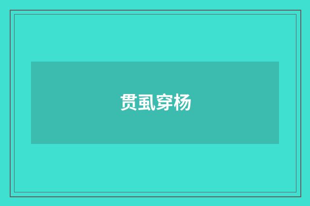 贯虱穿杨