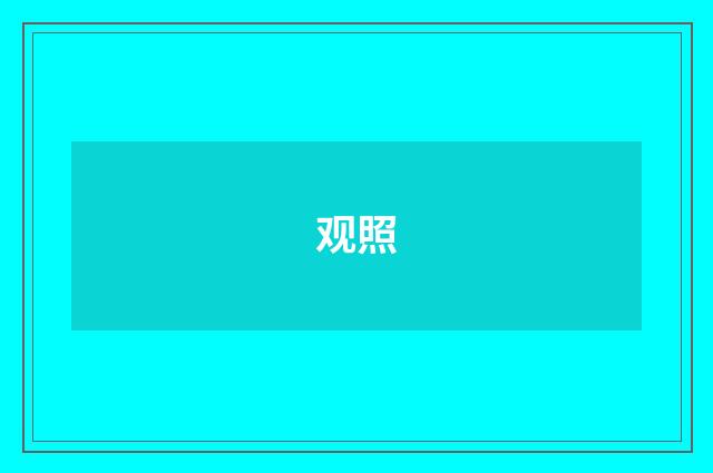 观照