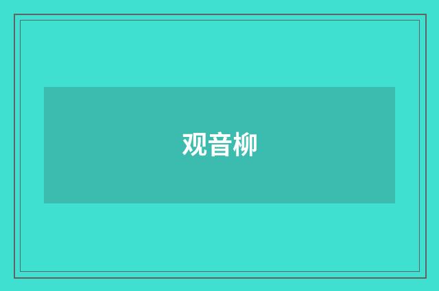观音柳