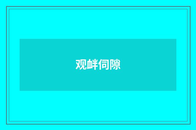 观衅伺隙