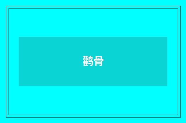 鹳骨