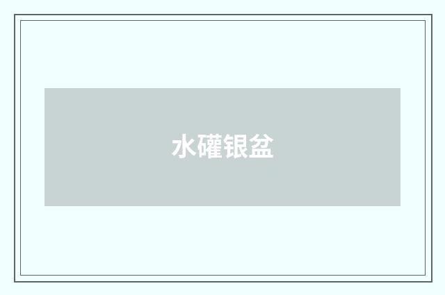 水礶银盆