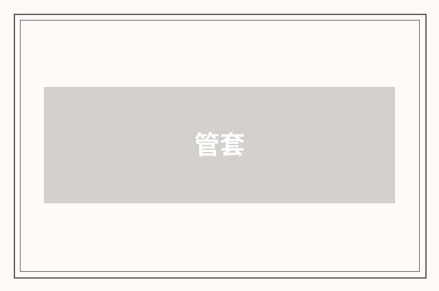 管套