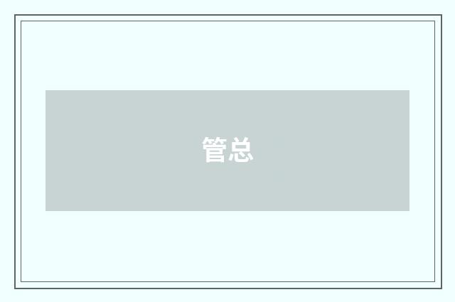 管总