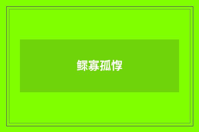 鳏寡孤惸