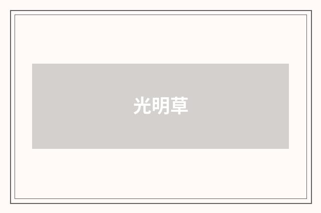光明草