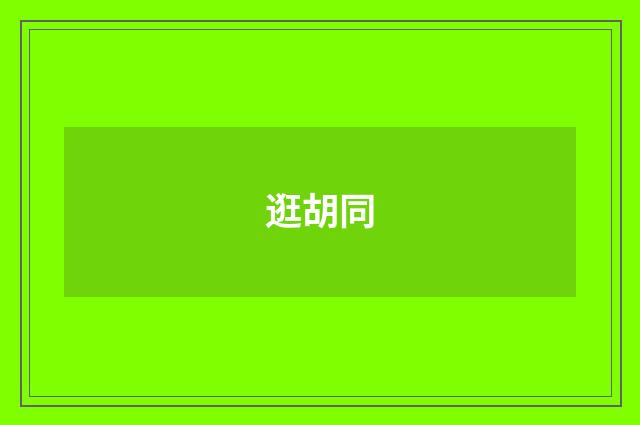 逛胡同